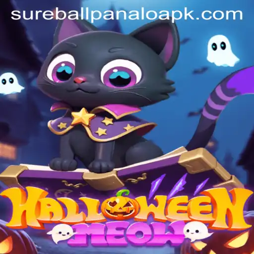 Discover the Thrills of HalloweenMeow: The Spooky Game Everyone is Talking About